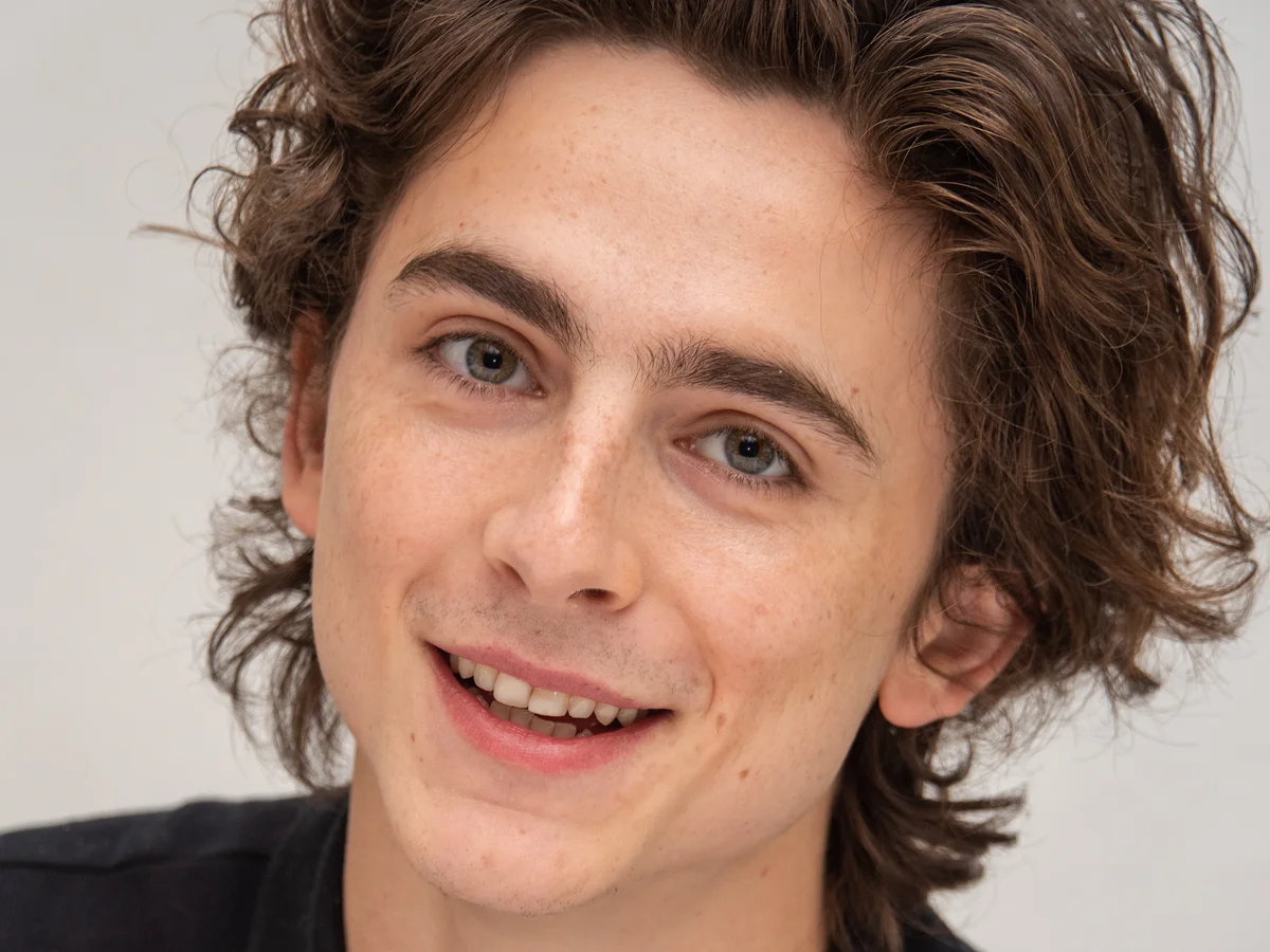 Timothée Chalamet Teeth